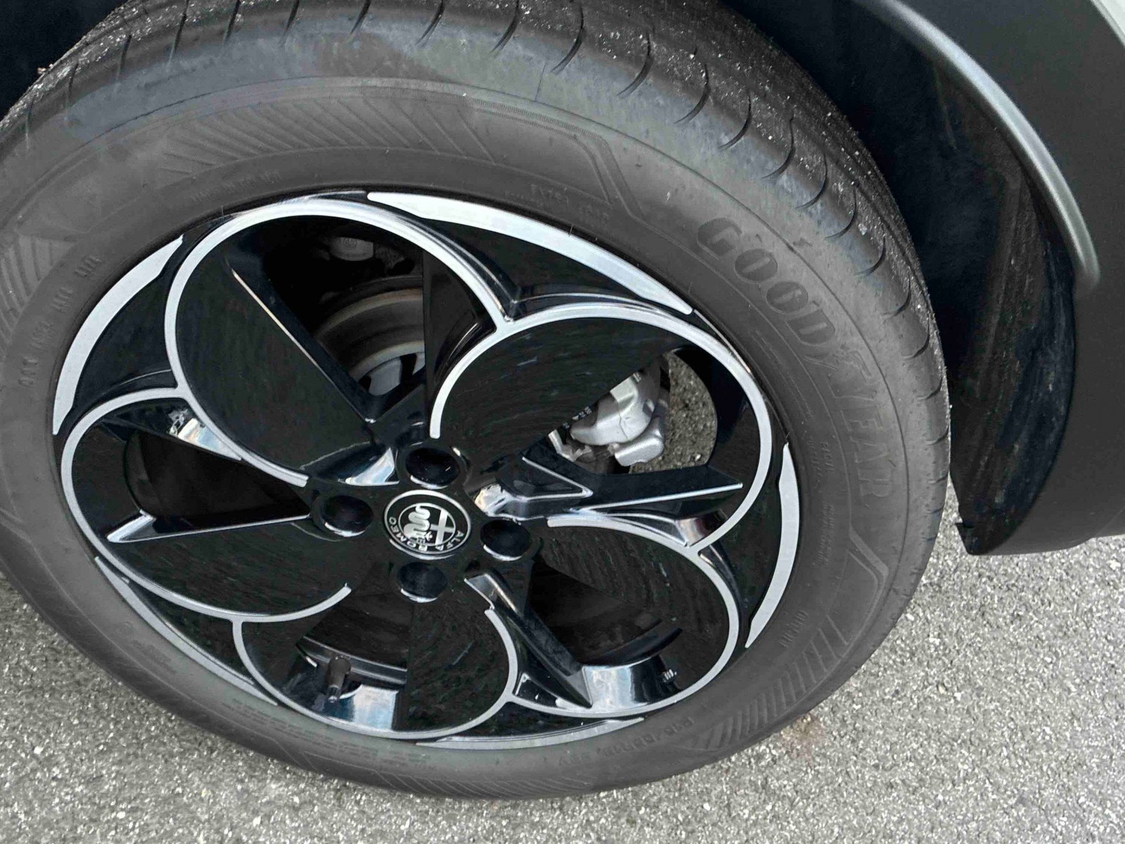 ALFA ROMEO - JUNIOR - #853142 - 23