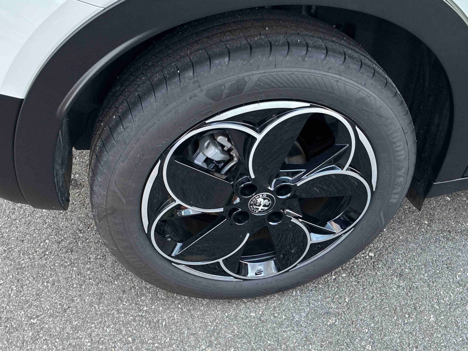 ALFA ROMEO - JUNIOR - #853142 - 24